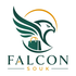 Falcon Souk